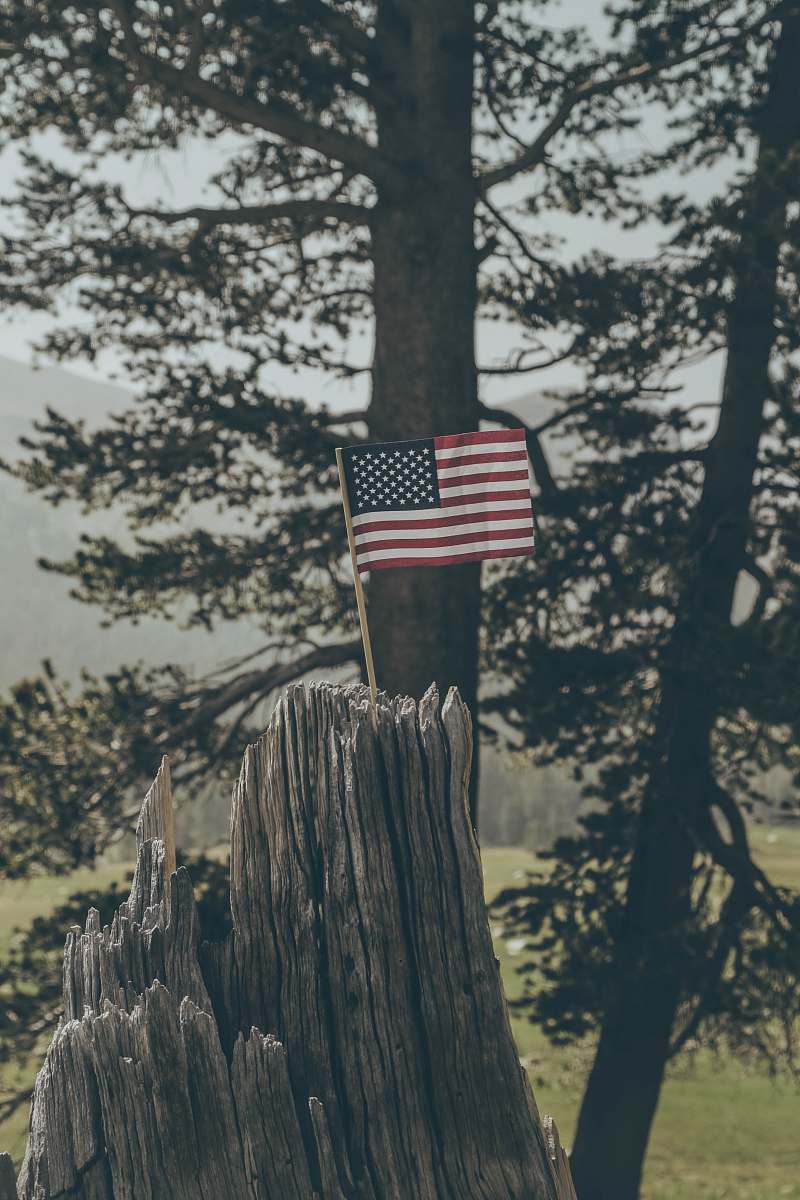 grey flag of United States on tree stump mammoth mountain